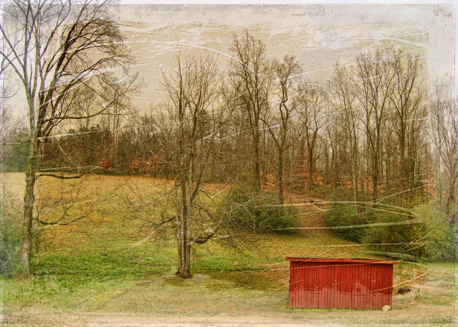 Neil Young Photograph - Red Shed by Paulette B Wright