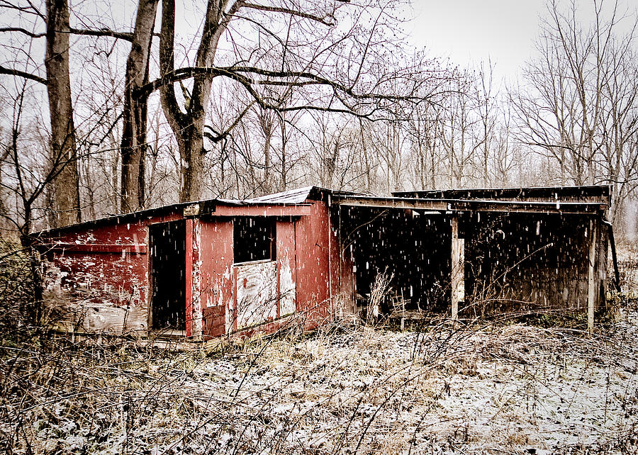 Red Shed  Photograph by Tim Fitzwater