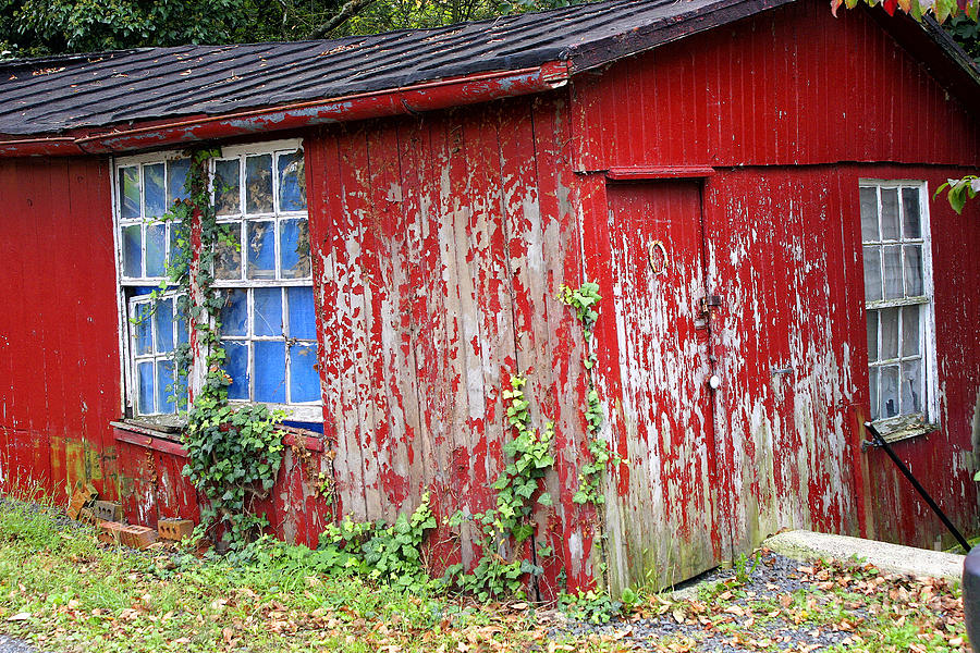 Red Shed Photograph by Timothy Hacker