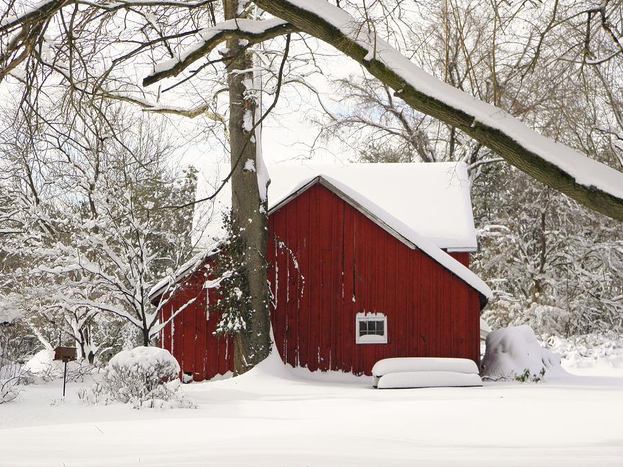 Red Shed White White Snow Photograph by John Williams