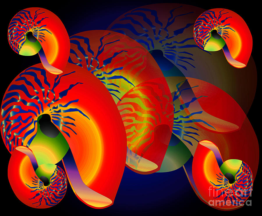 Red Shells Digital Art by Gayle Price Thomas