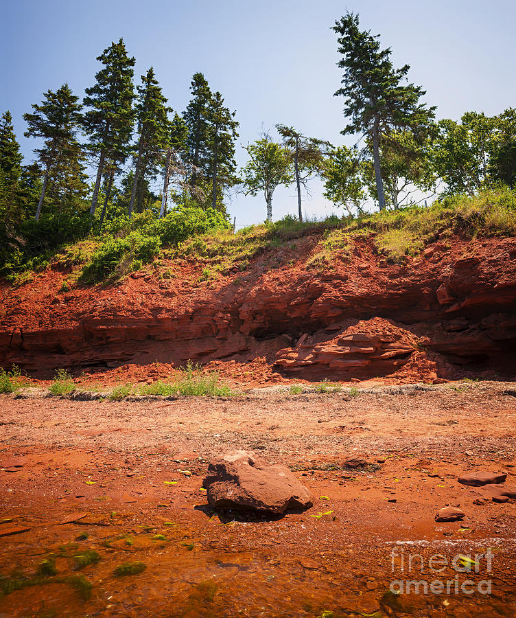 Nature Photograph - Red shore of Prince Edward Island by Elena Elisseeva
