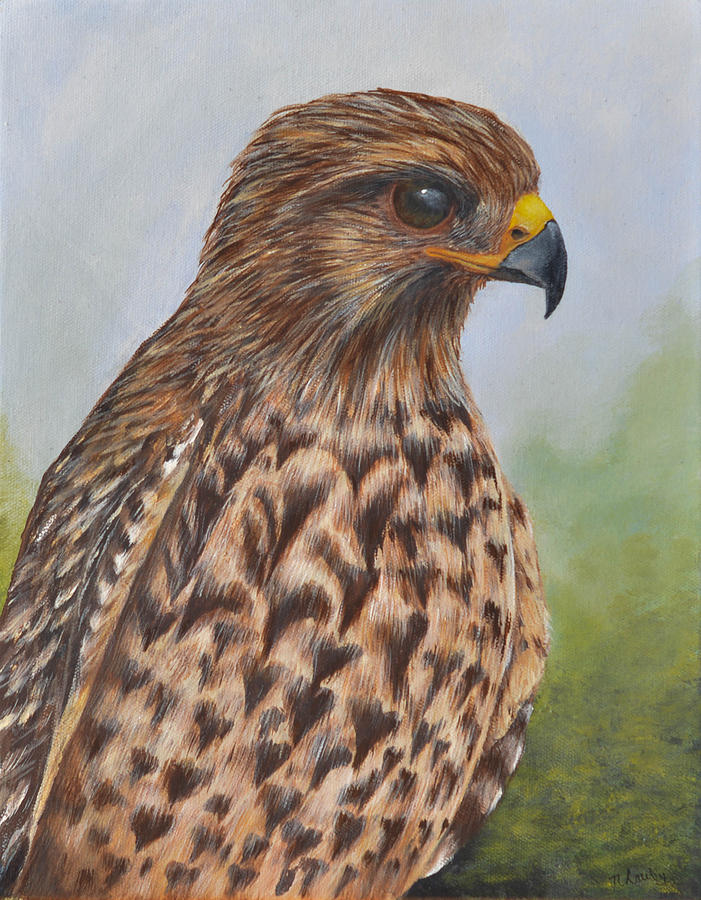 Red Shouldered Hawk Painting by Nancy Lauby
