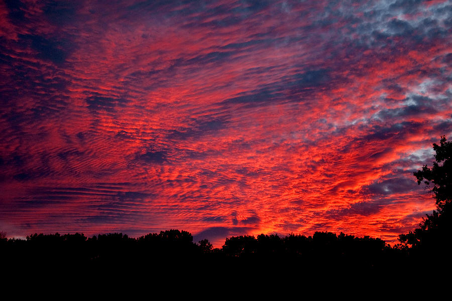 Red Sky at Night Photograph by Greg Fortier