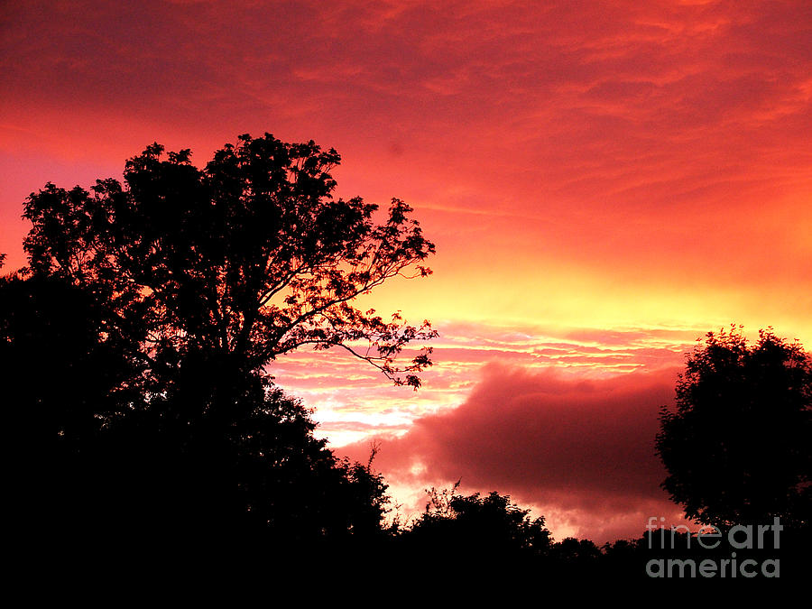 Red sky at night Photograph by Joe Cashin