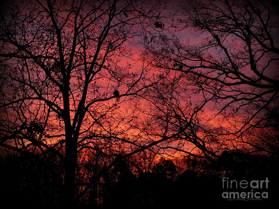 Red Sky at Night Photograph by Rabiah Seminole