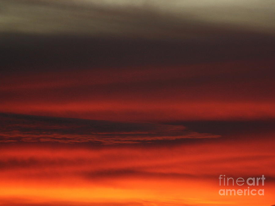 Red sky Photograph by Fred Sheridan