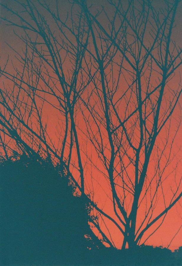 Red Sky Photograph by Glenn Scano