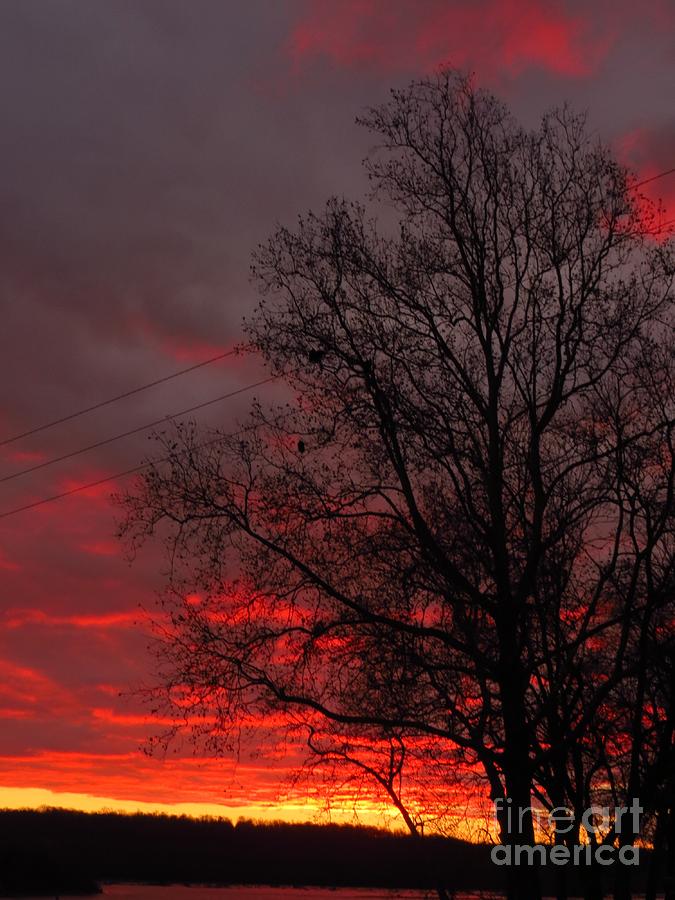 Red Sky in Morning Photograph by Rrrose Pix