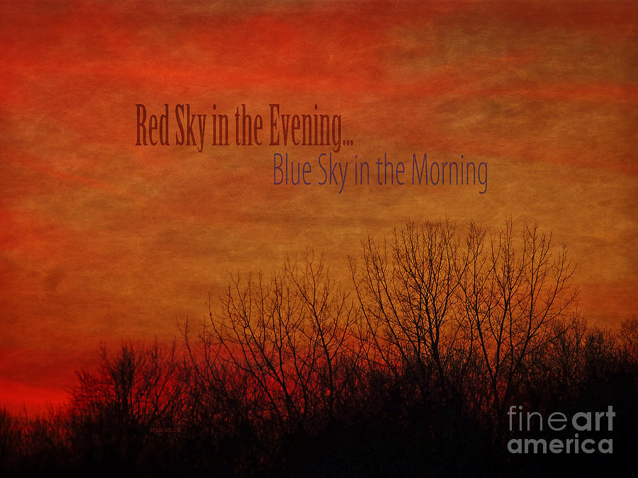 Red Sky in the Evening Photograph by Dee Flouton