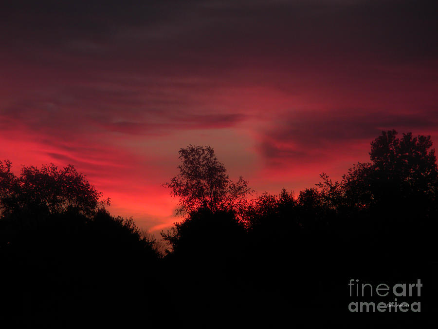 Red Sky in the Morning 02 Photograph by Thomas Woolworth