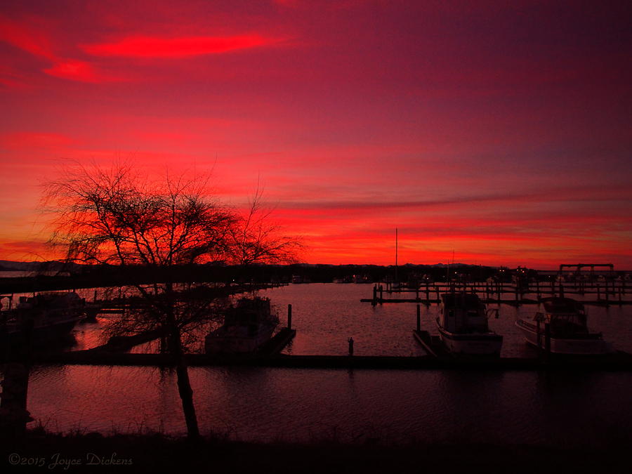 Red Sky In The Morning Two Photograph by Joyce Dickens