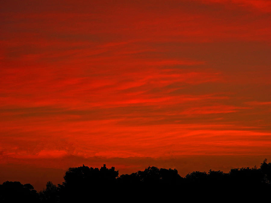 Red Sky Photograph by Mark Blauhoefer