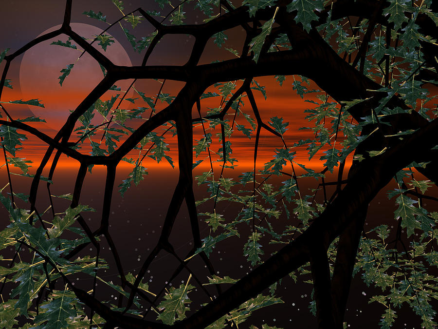 Sunset Digital Art - Red Sky by Michele Wilson