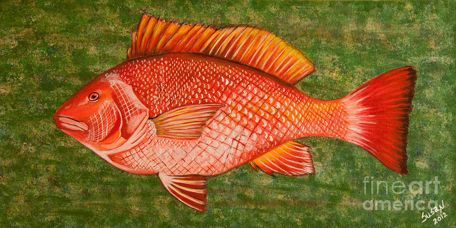 Red Snapper Painting by Susan Cliett