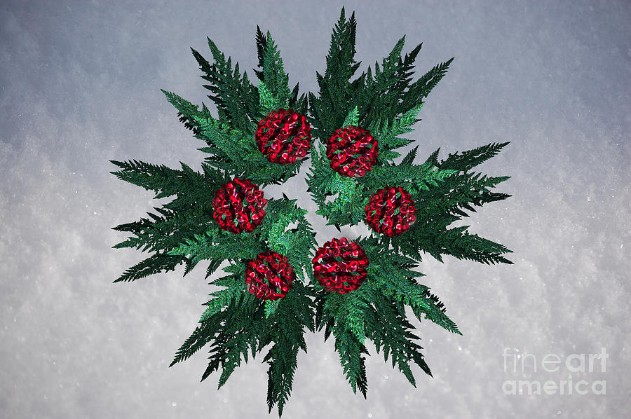 Red Snow Wreath by jammer Digital Art by First Star Art