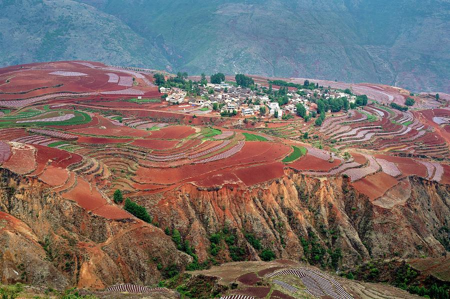 Red Soil Farmlands In Dongchuan District Photograph by Tony Camacho ...