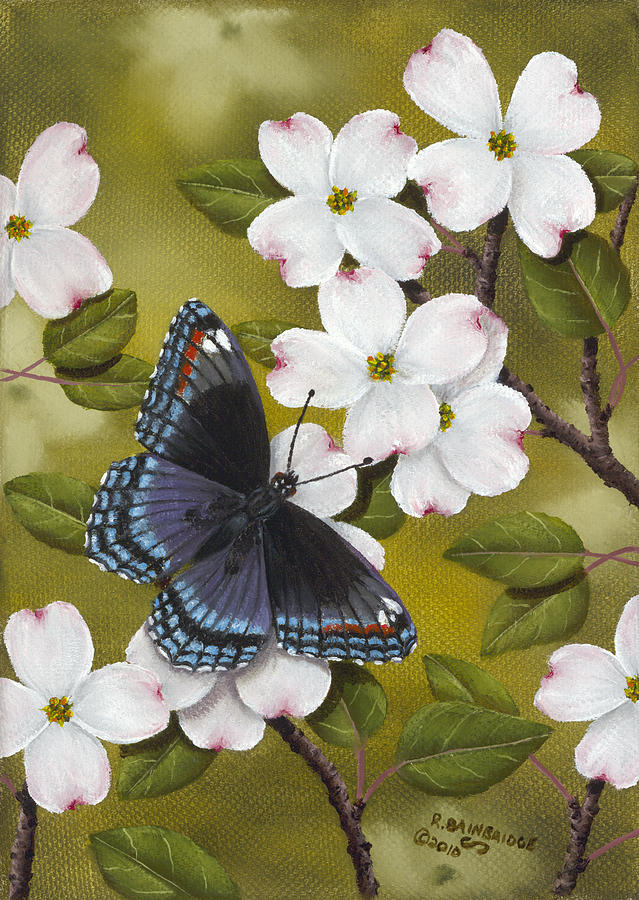 Red Spotted Purple Painting by Rick Bainbridge