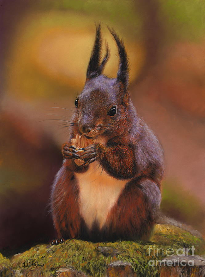 Nature Painting - Red Squirrel by John  Palmer