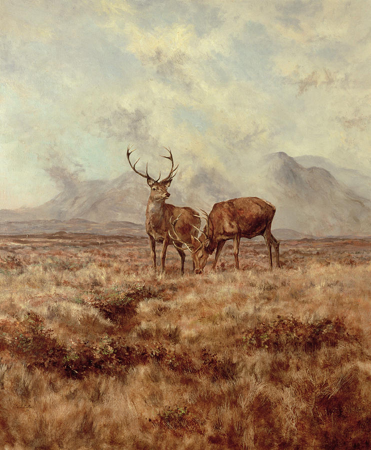Red Stags, Ben Buie Painting by Tim Scott Bolton