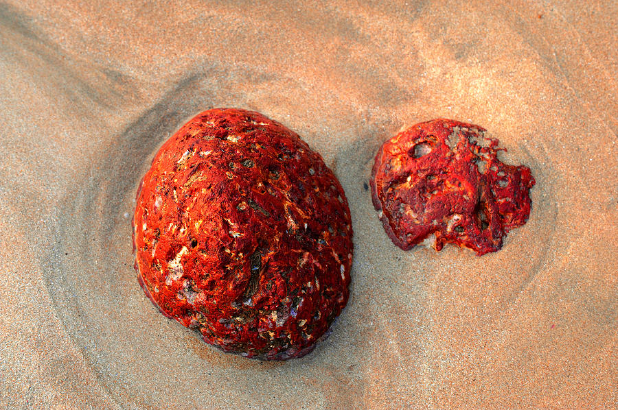 Nature Photograph - Red Stones on the Sand by Jenny Rainbow