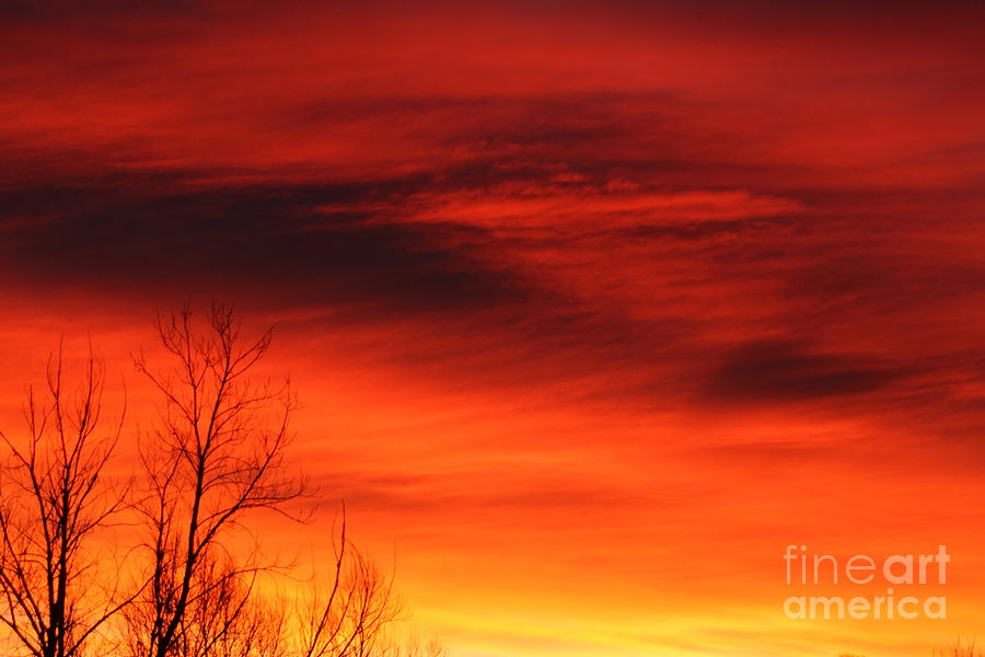 Red Sunrise Photograph by Steven Parker