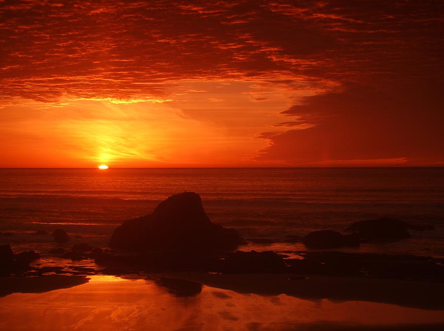 Red Sunset at Seal Rocks Photograph by HW Kateley