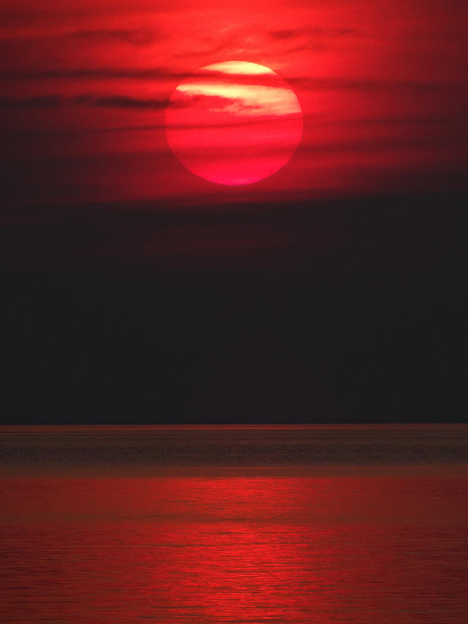 Red Sunset Photograph by David T Wilkinson