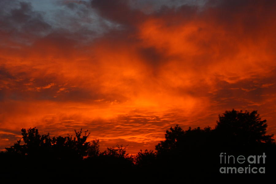 Red Sunset Photograph by Jeremy Hayden