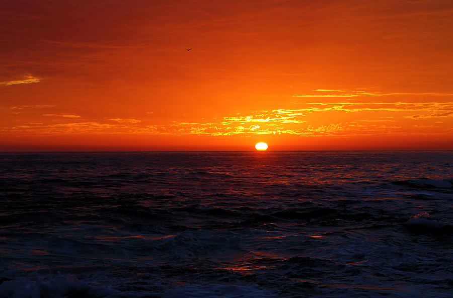 Red Sunset On Pacific Ocean Photograph by Viktor Savchenko