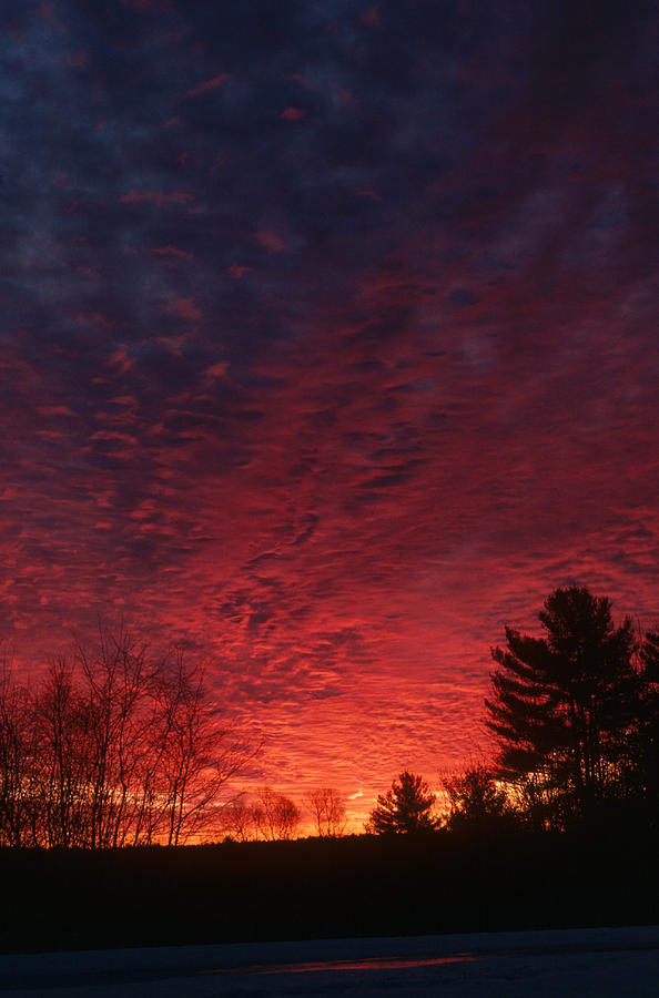 Red Sunset Photograph by Richard L. Carlton