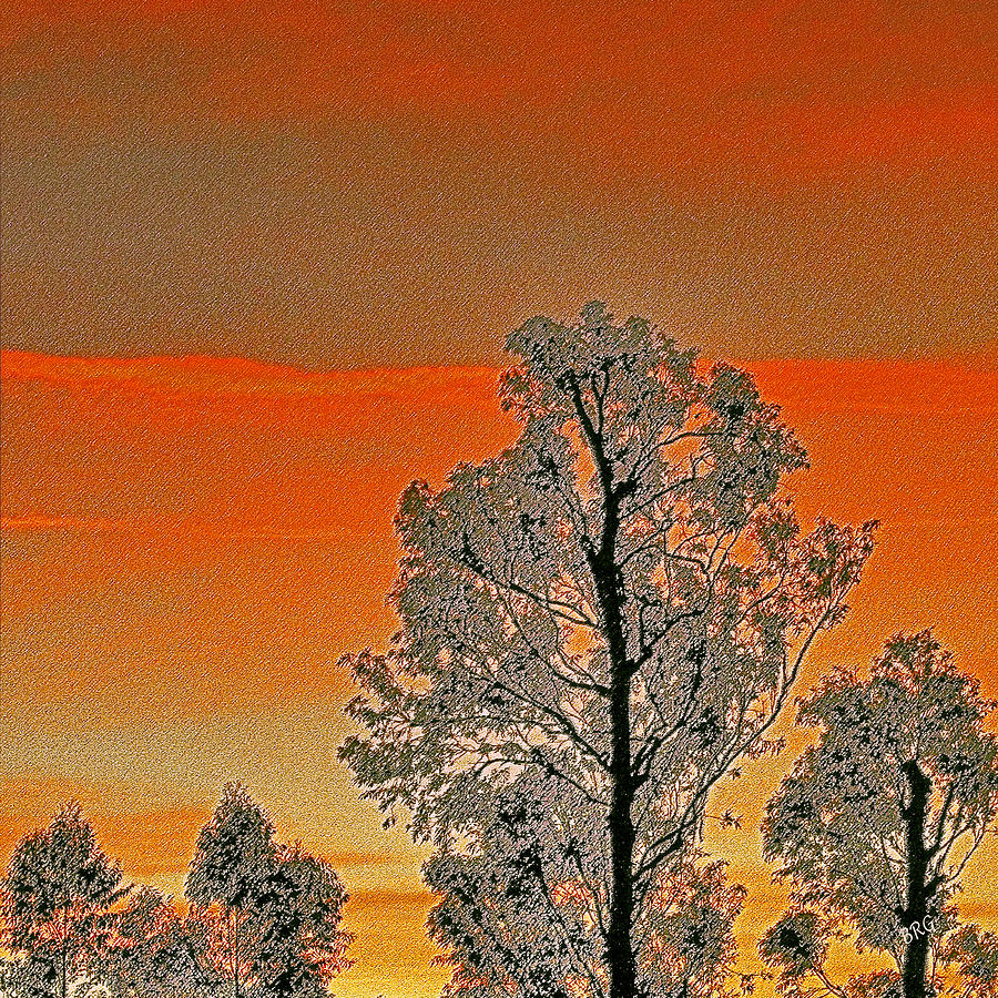 Red Sunset With Trees Photograph by Ben and Raisa Gertsberg