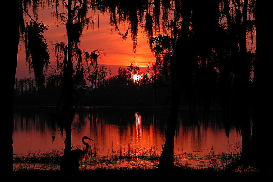 Sunset Photograph - Red Swamp by Renee Sullivan