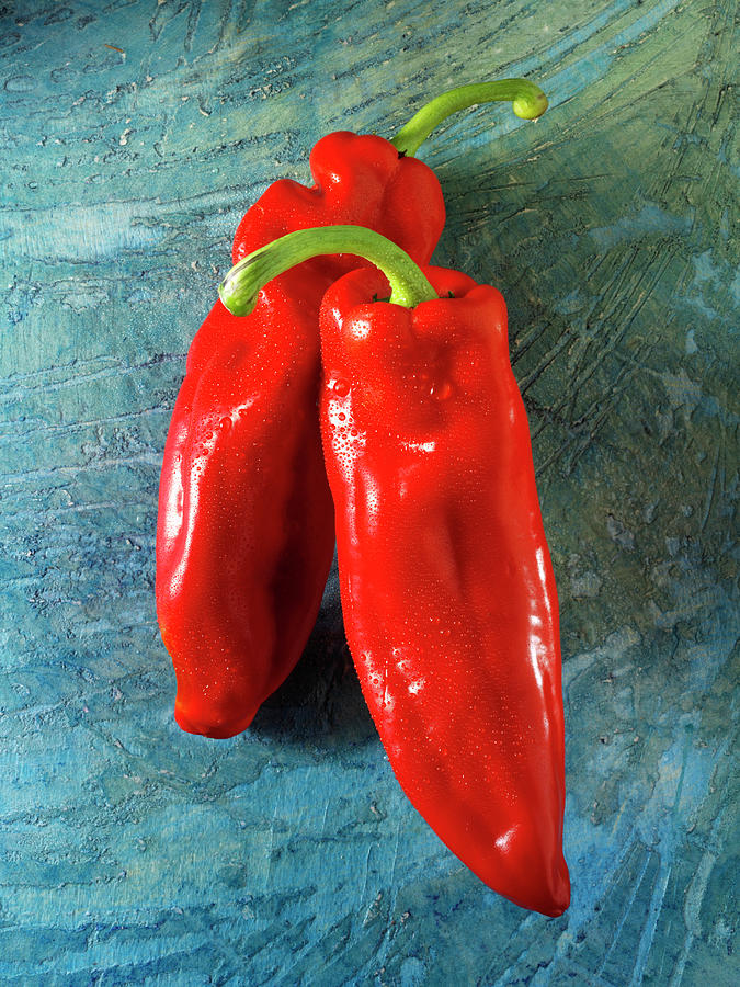 Red Sweet Long Peppers Photograph by Paul Williams