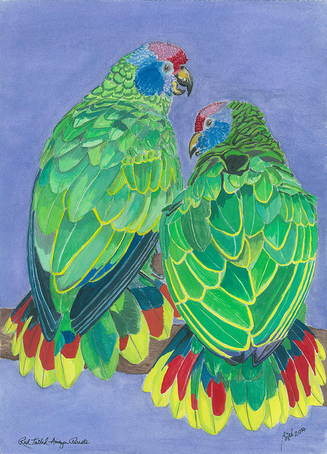 Red Tailed Amazon Parrots Painting by Anthony Purification - Fine Art ...