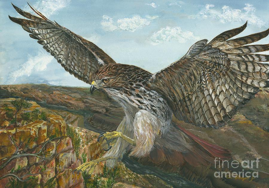 Hawk Painting - Red-Tailed Hawk by Tom Blodgett Jr