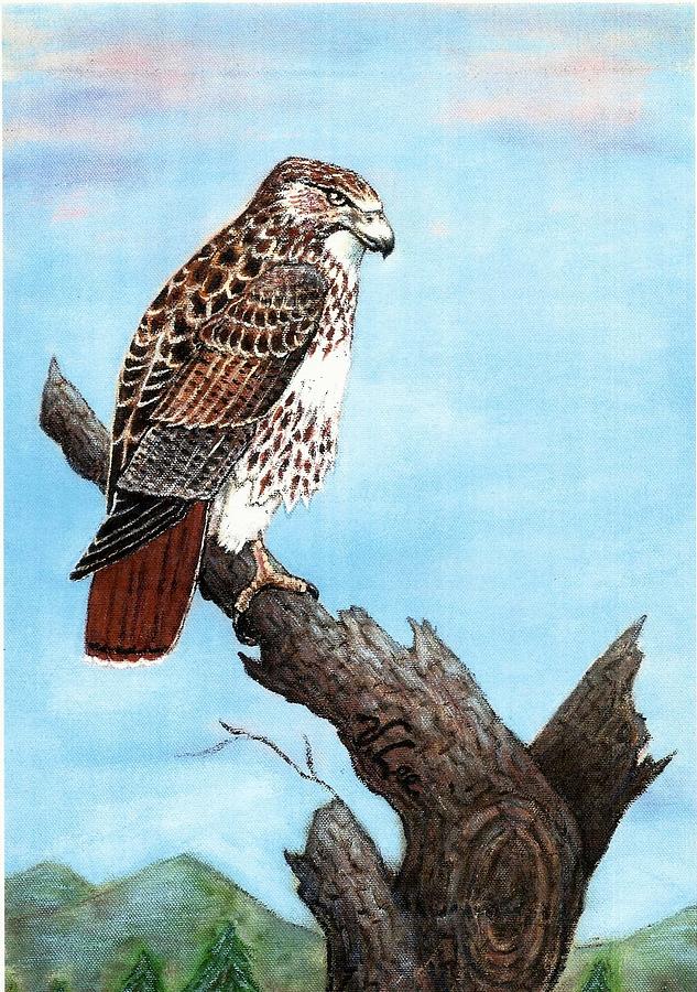 Red Tailed Hawk Painting by VLee Watson