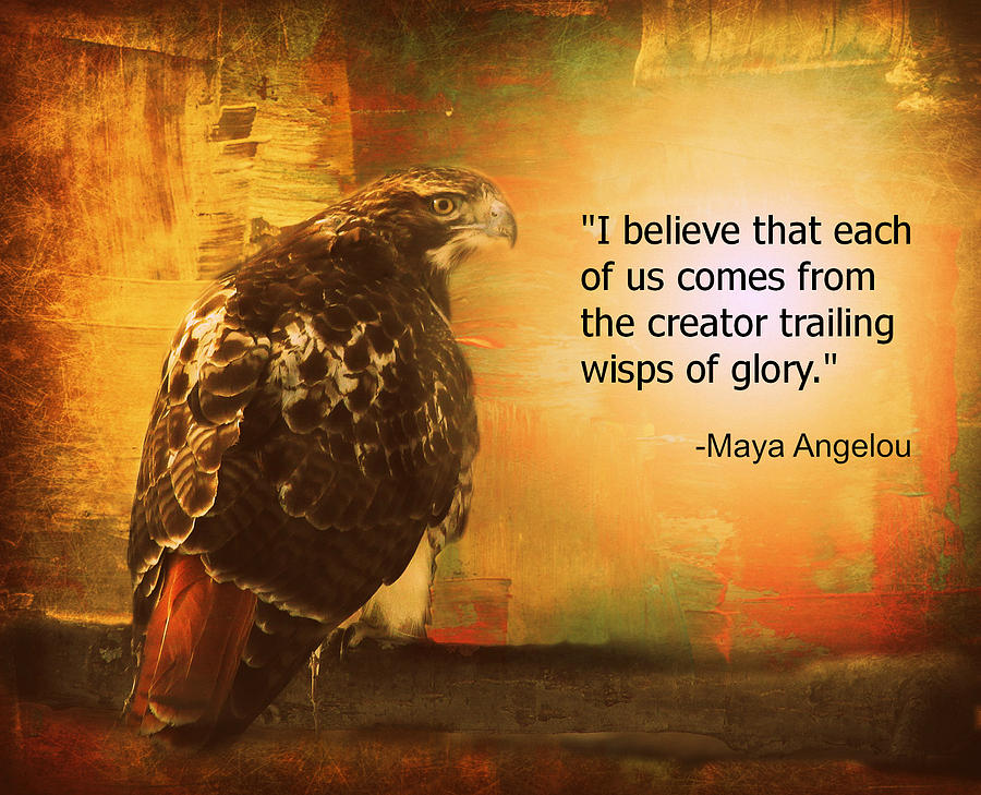 Hawk Photograph - Red-Tailed Hawk with Maya Angelou Quote by Aurelio Zucco