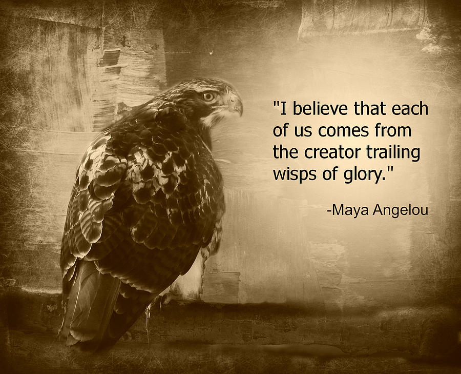 Red-Tailed Hawk with Maya Angelou Quote II Photograph by Aurelio Zucco