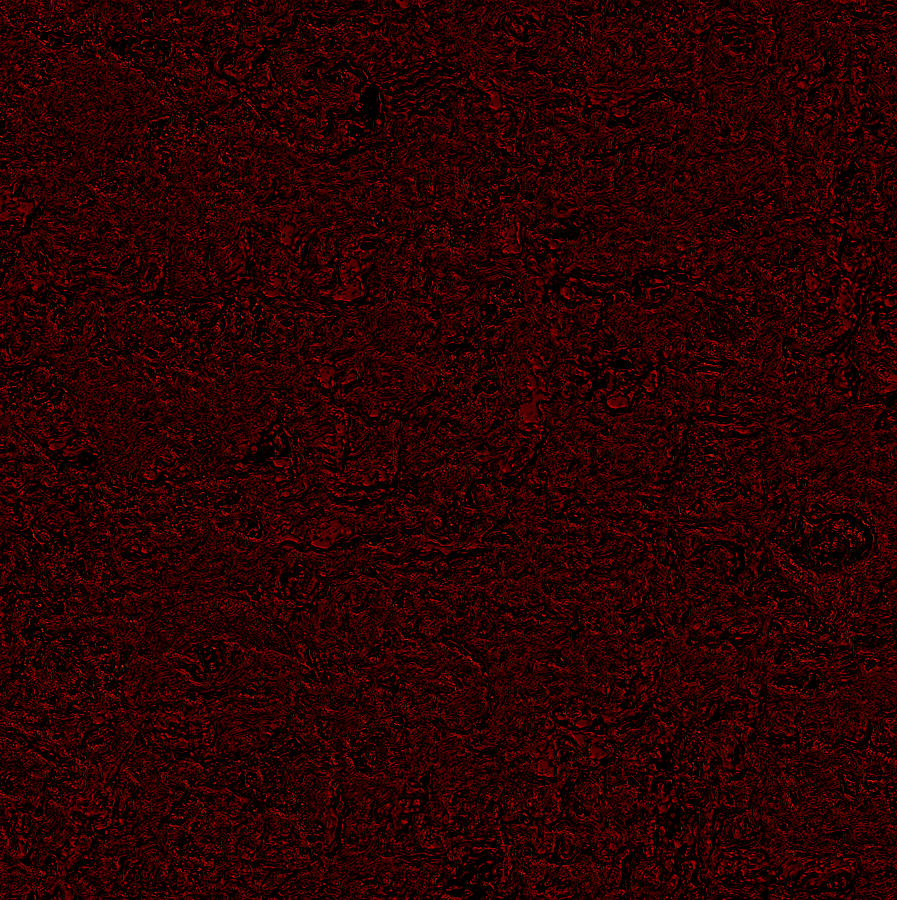 Red Texture Dark Painting by Steve Fields