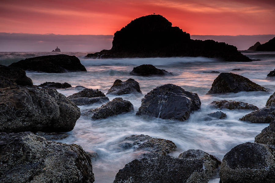Sunset Photograph - Red Tide by Rick Berk