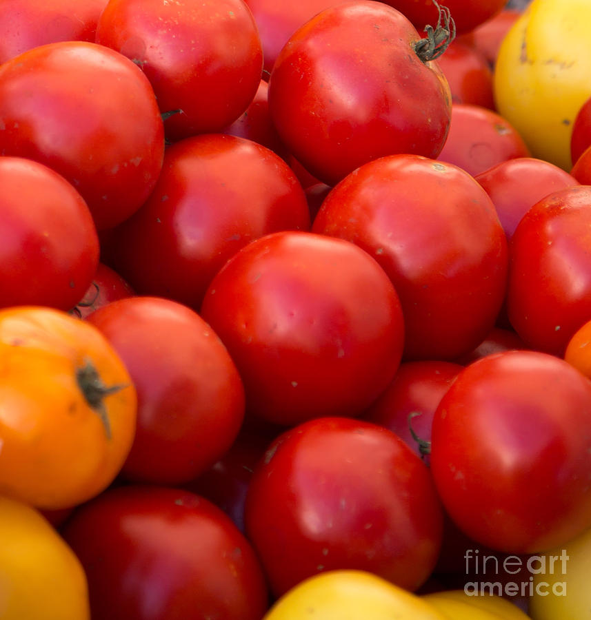 Red Tomatoes Closeup Photograph by Rebecca Cozart