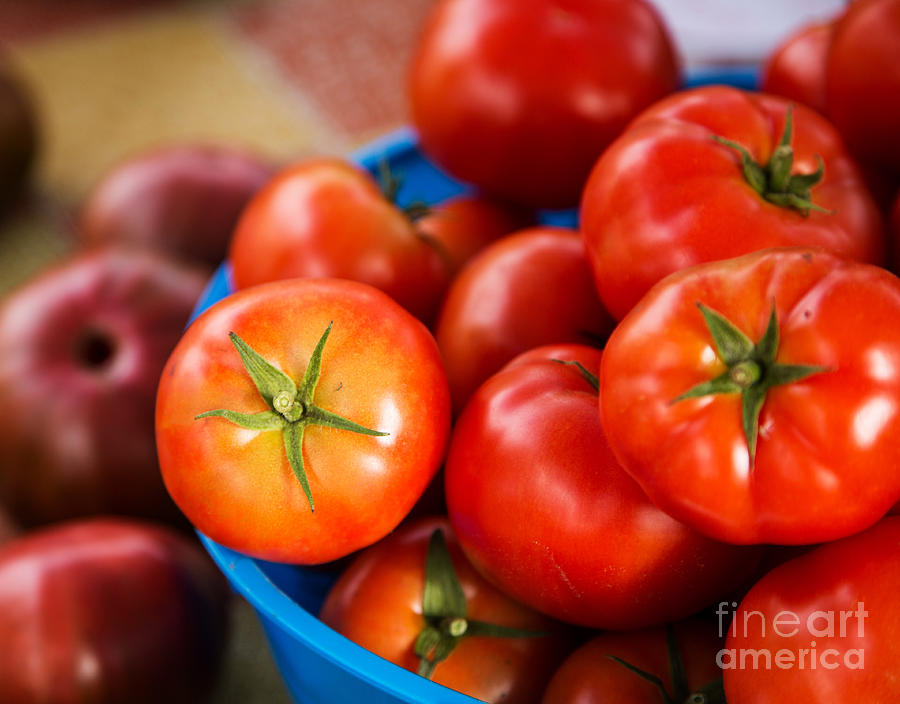 Red tomatoes in blue container Photograph by Rebecca Cozart