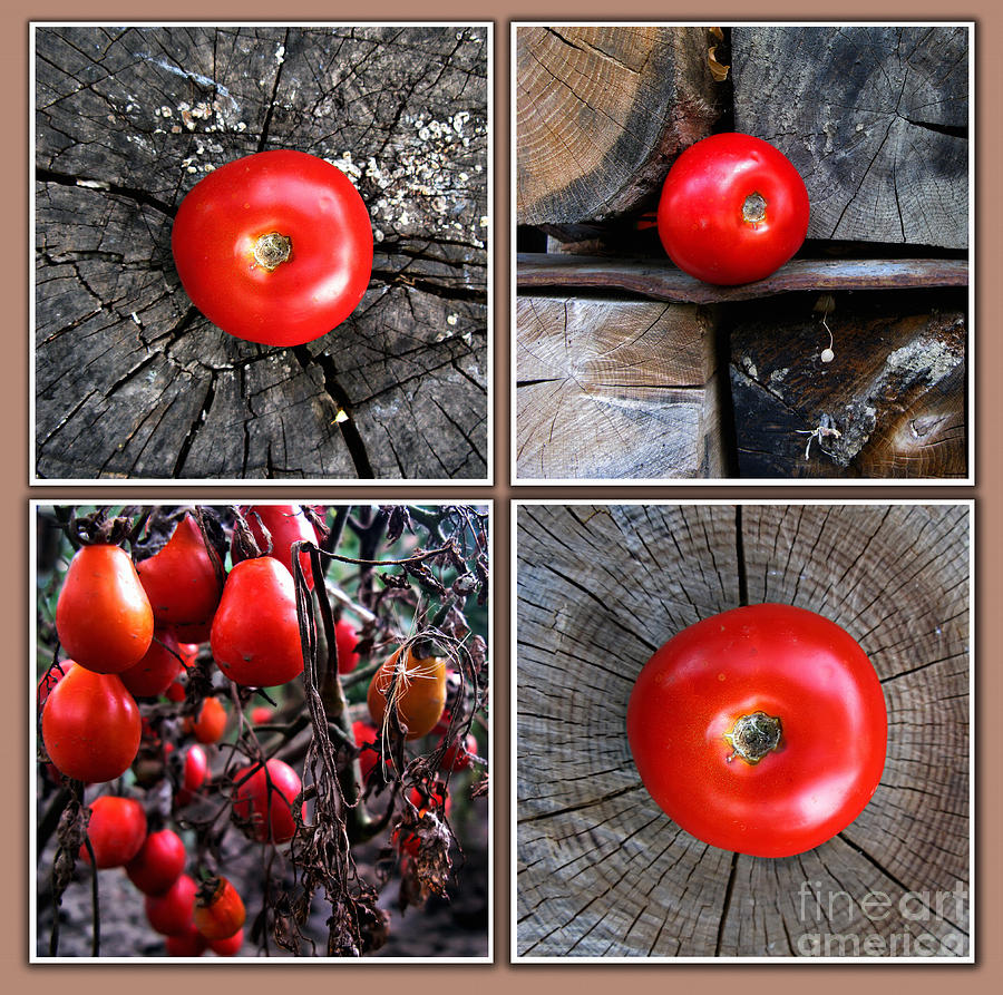 Red Tomatoes texture Photograph by Daliana Pacuraru