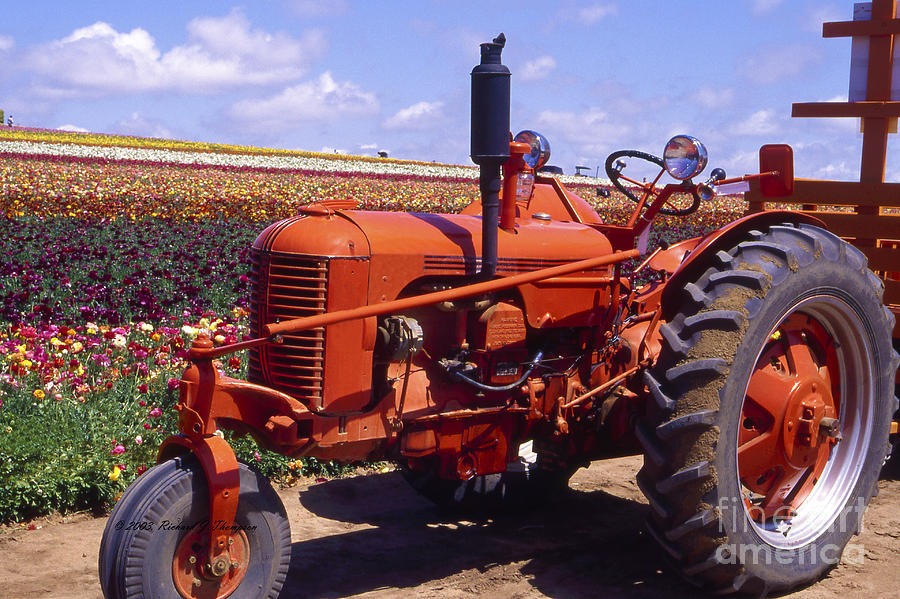 Red Tractor Photograph by Richard J Thompson 