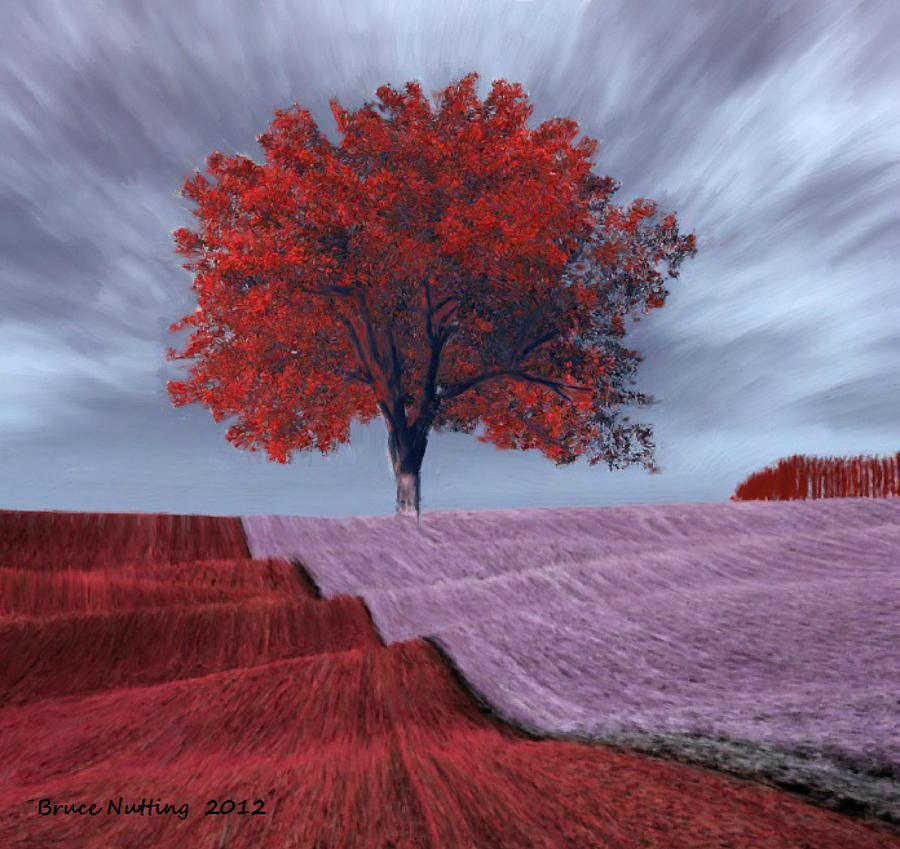 Tree Painting - Red Tree in a Field by Bruce Nutting