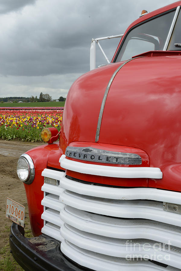 Red Truck & Tulip Field Photograph by John Shaw