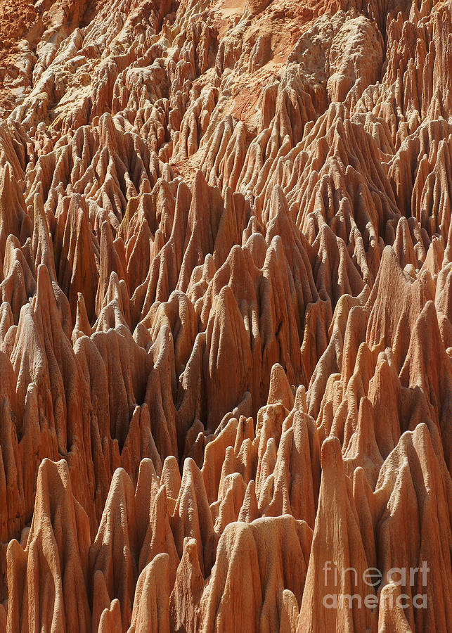 red Tsingy Madagascar 3 Photograph by Rudi Prott