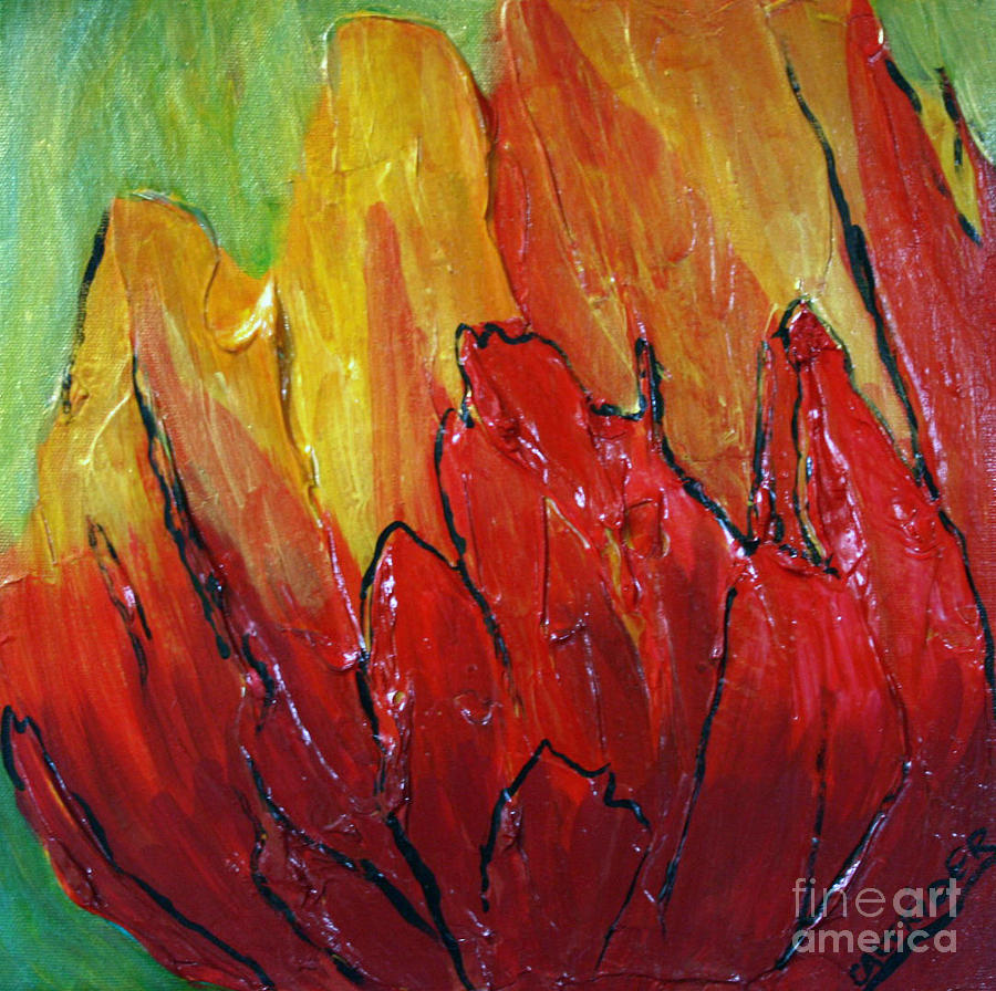 Red Tulip Painting by Alison Caltrider