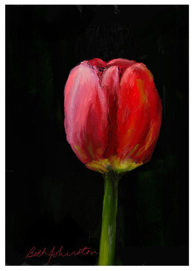 Red Tulip Painting by Beth Johnston